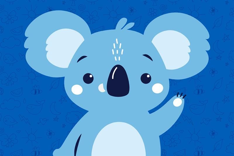 G&rsquo;day little Queenslander Koala